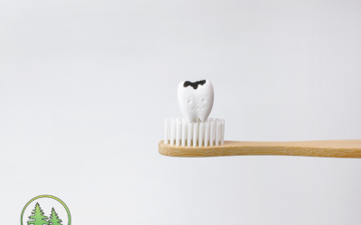tooth with cavity sitting upon toothbrush