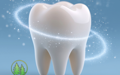 tooth enamel protects the tooth