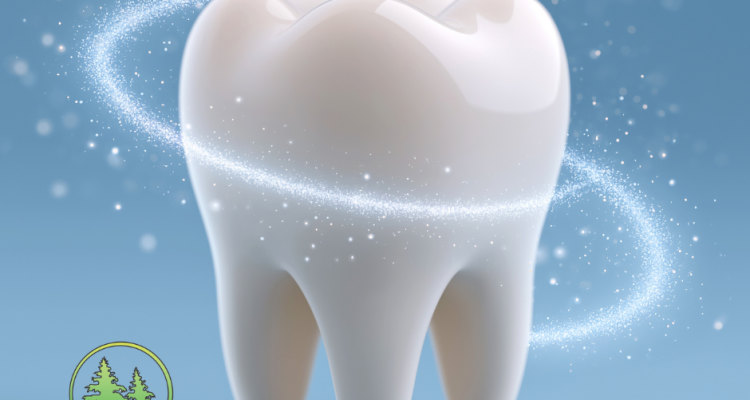 tooth enamel protects the tooth