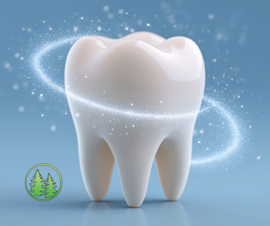 tooth enamel protects the tooth